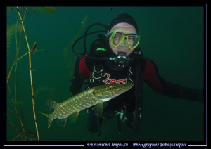 Observing a young pike fish... :O)... by Michel Lonfat 